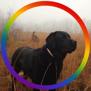 Meet your Posher, Craig